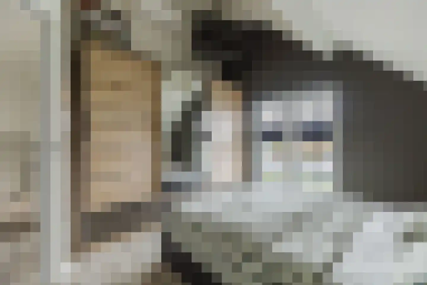 Diepstraat 30 Wernhout thumbnail 26