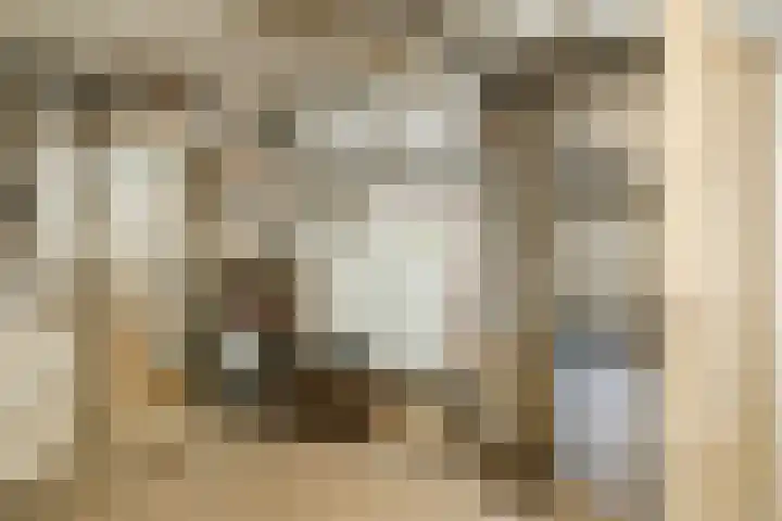 Diepstraat 5 Echt thumbnail 22