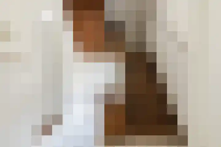 Diepstraat 5 Echt thumbnail 24