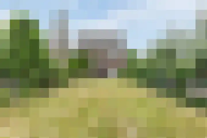 Diepstraat 5 Echt thumbnail 38