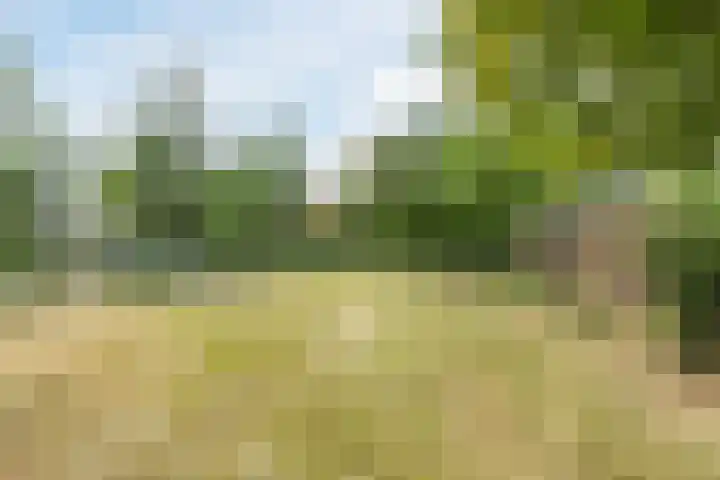 Diepstraat 5 Echt thumbnail 40
