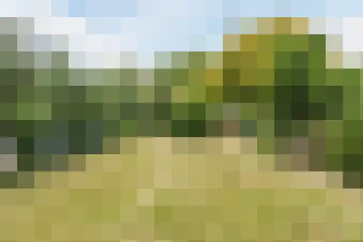 Diepstraat 5 Echt thumbnail 41