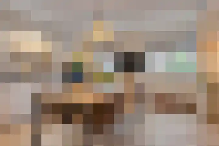 Diepswal 1 Leek thumbnail 10