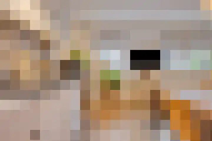 Diepswal 1 Leek thumbnail 11