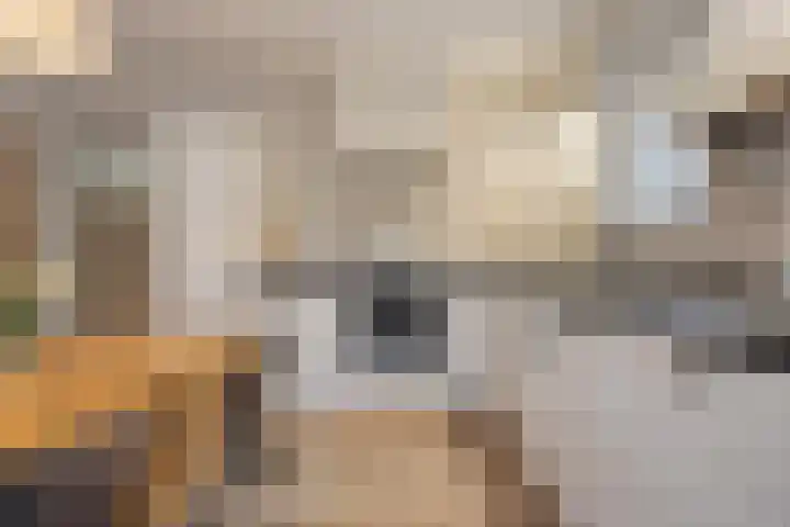 Diepswal 1 Leek thumbnail 12