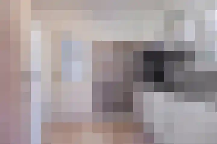 Diepswal 1 Leek thumbnail 15