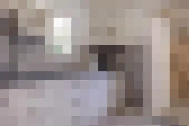 Diepswal 1 Leek thumbnail 16