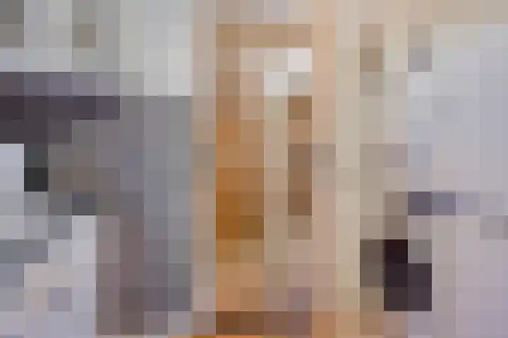 Diepswal 1 Leek thumbnail 17