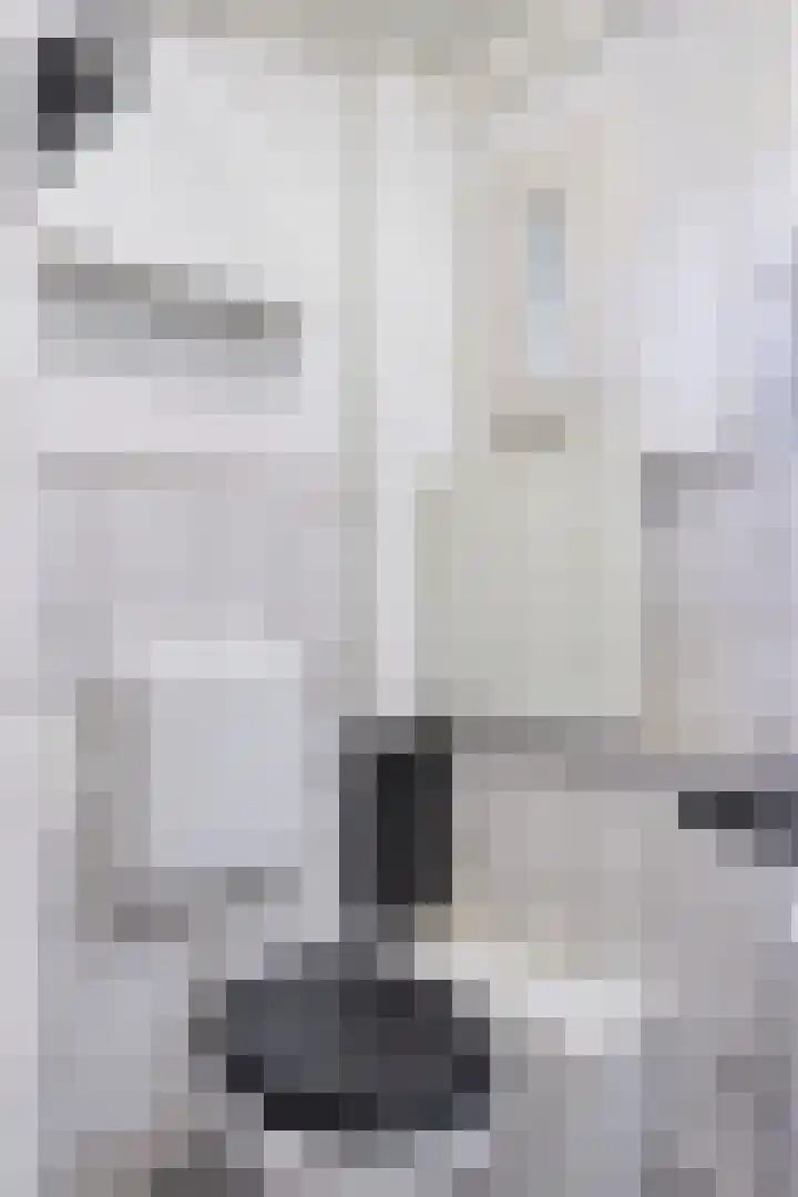 Diepswal 1 Leek thumbnail 20