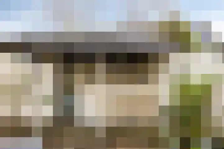 Diepswal 1 Leek thumbnail 31