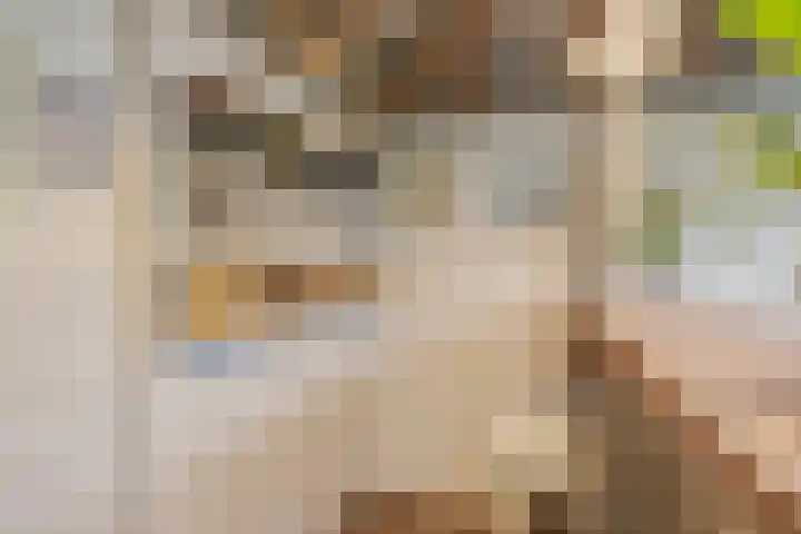 Diepswal 1 Leek thumbnail 33
