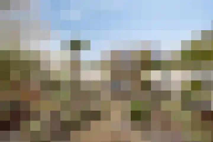 Diepswal 1 Leek thumbnail 34