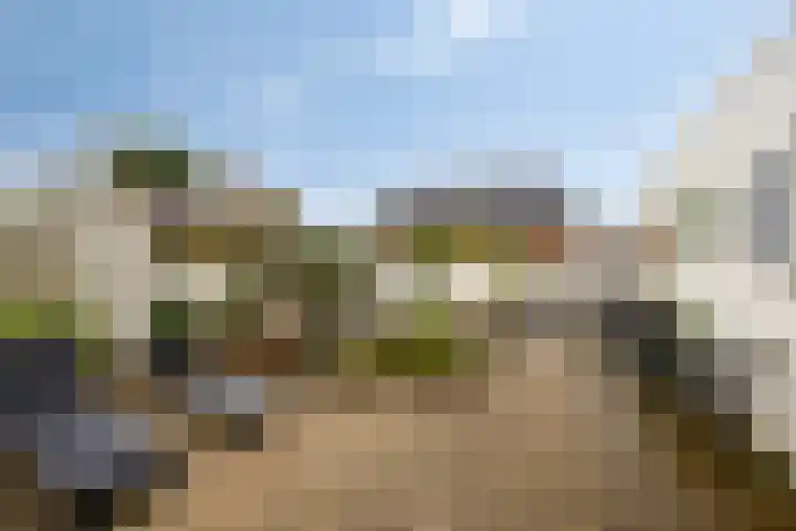 Diepswal 1 Leek thumbnail 35