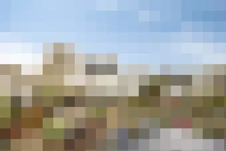 Diepswal 1 Leek thumbnail 36
