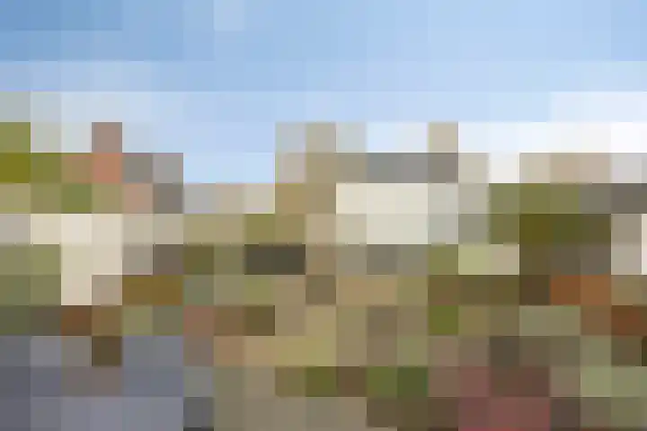 Diepswal 1 Leek thumbnail 37
