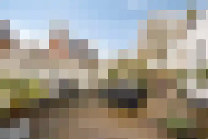 Diepswal 1 Leek thumbnail 38