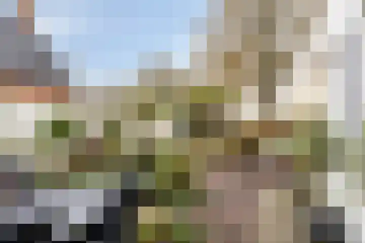 Diepswal 1 Leek thumbnail 40
