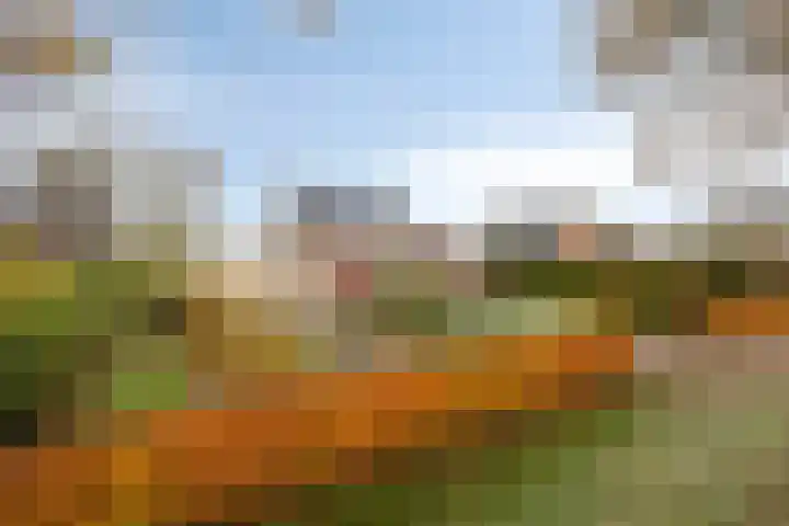 Diepswal 1 Leek thumbnail 41