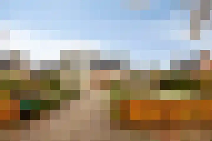 Diepswal 1 Leek thumbnail 42