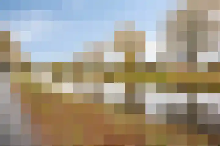 Diepswal 1 Leek thumbnail 43