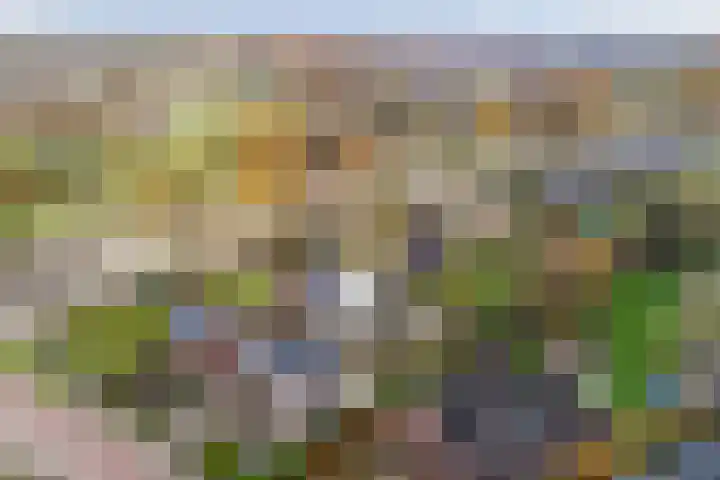 Diepswal 1 Leek thumbnail 44