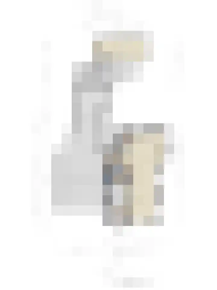 Diepswal 1 Leek thumbnail 46