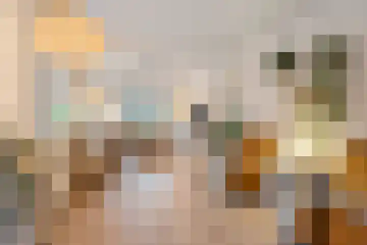 Diepswal 1 Leek thumbnail 5