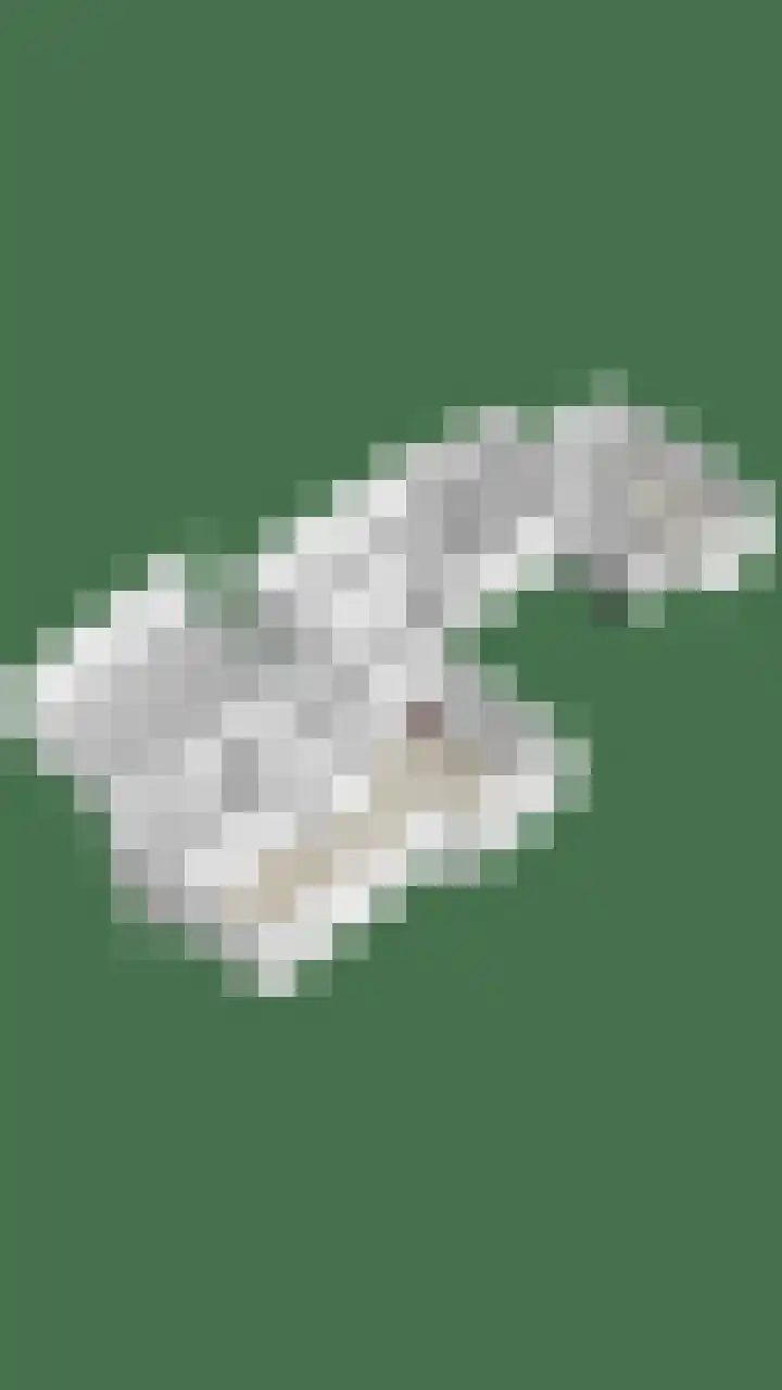 Diepswal 1 Leek thumbnail 50