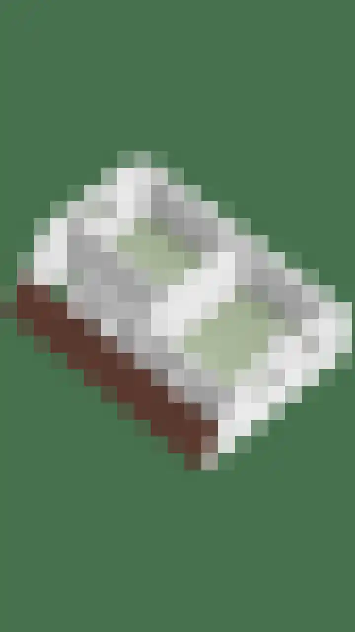 Diepswal 1 Leek thumbnail 51