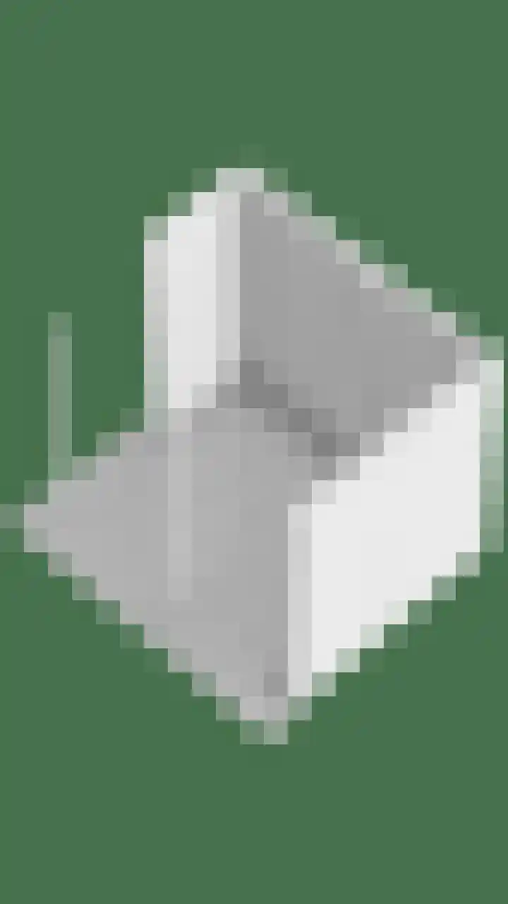 Diepswal 1 Leek thumbnail 52