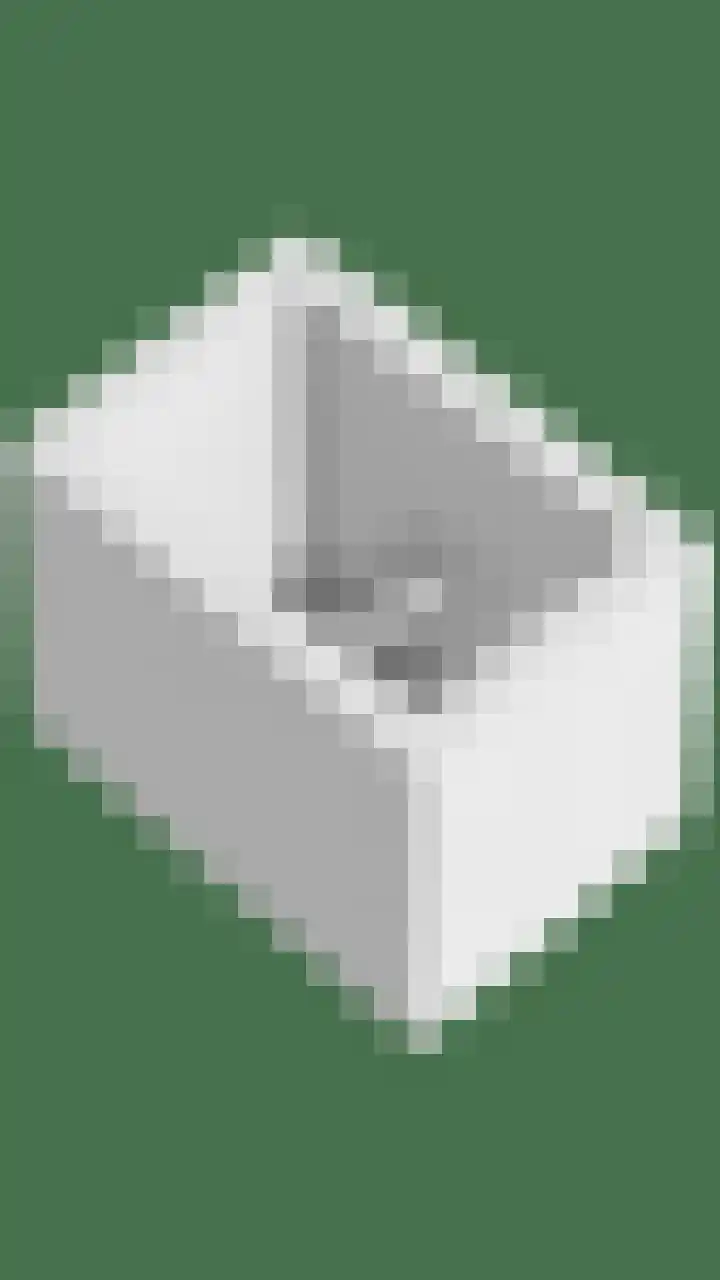 Diepswal 1 Leek thumbnail 53