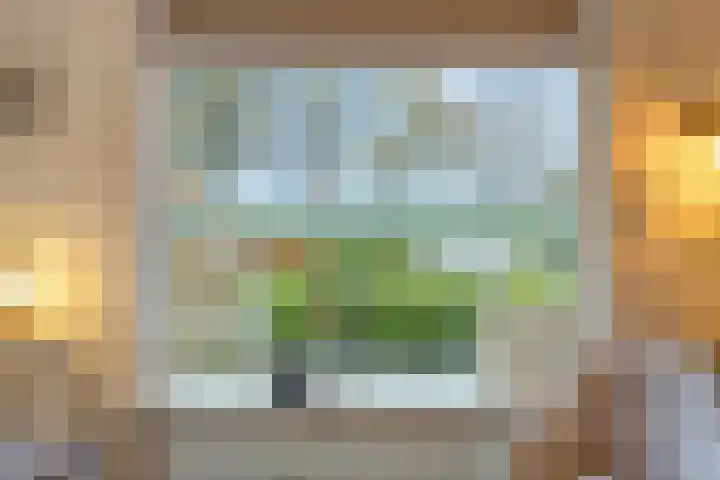 Diepswal 1 Leek thumbnail 7