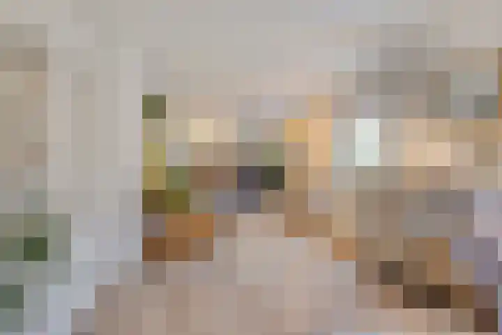 Diepswal 1 Leek thumbnail 8