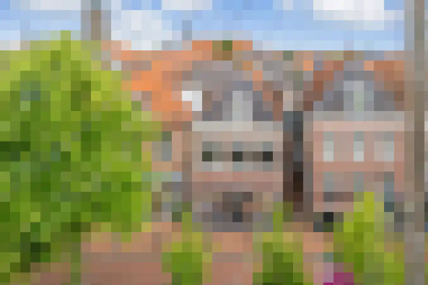 Diepswal 11 Dokkum thumbnail 6