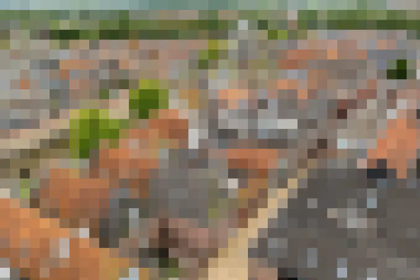 Diepswal 11 Dokkum thumbnail 8