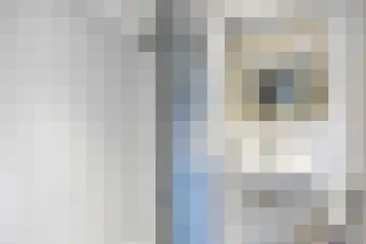 Diepswal 2 Pieterzijl thumbnail 20