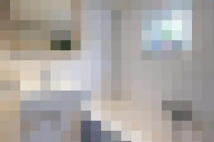 Diepswal 2 Pieterzijl thumbnail 21