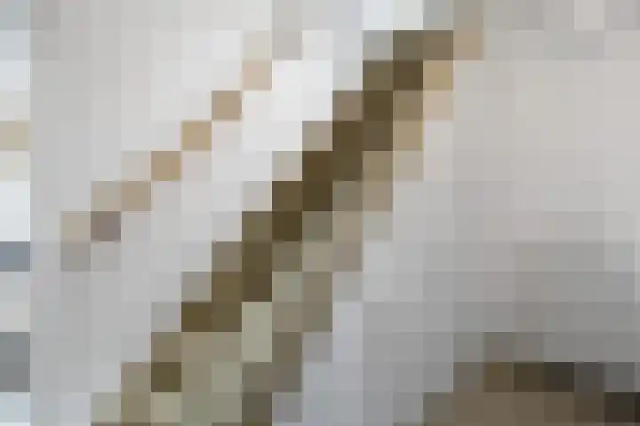 Diepswal 2 Pieterzijl thumbnail 22