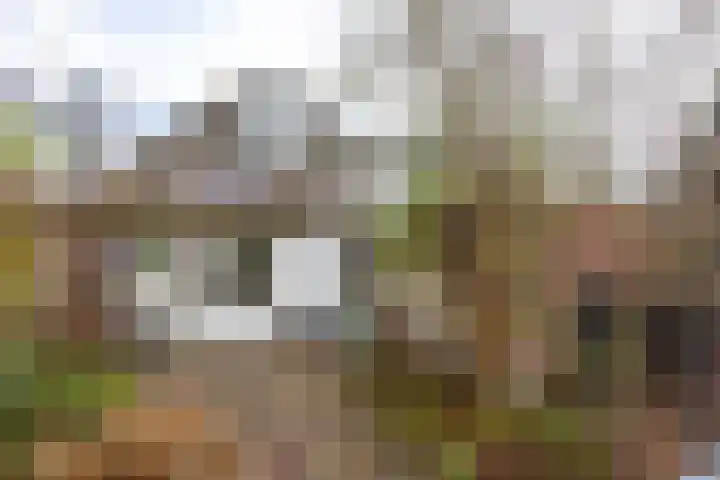 Diepswal 2 Pieterzijl thumbnail 30