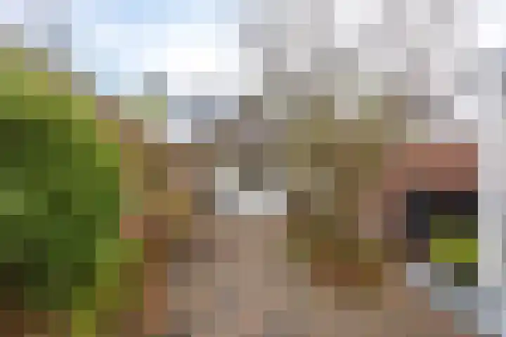 Diepswal 2 Pieterzijl thumbnail 31