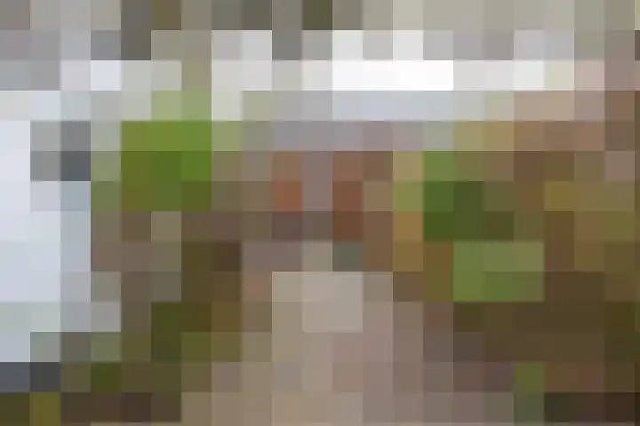 Diepswal 2 Pieterzijl thumbnail 32
