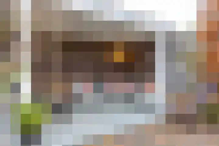 Diepswal 2 Pieterzijl thumbnail 34