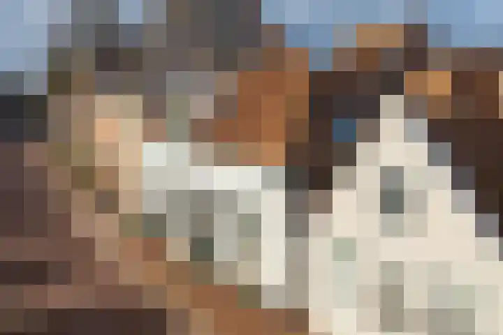 Diepswal 35 Dokkum thumbnail 6