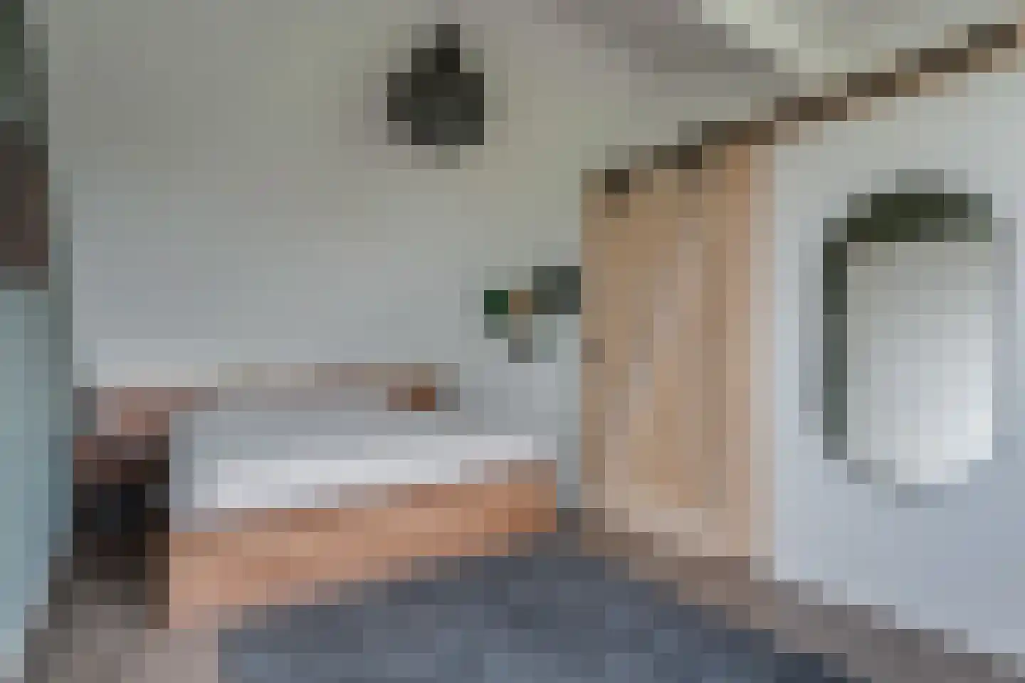 Dieptol 120 Steenwijk thumbnail 37