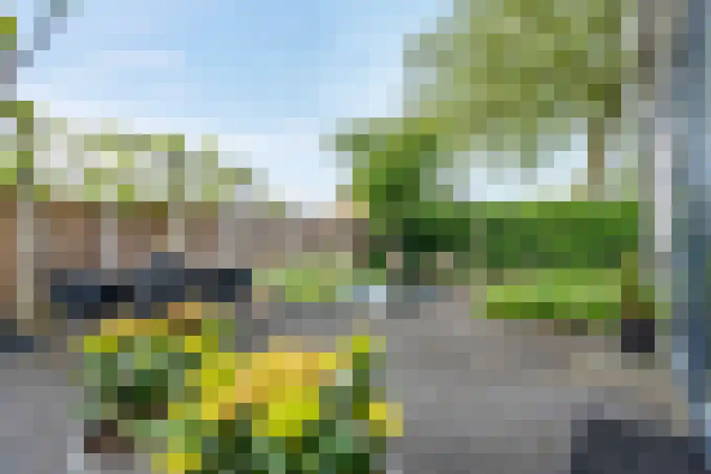 Dieptol 120 Steenwijk thumbnail 42