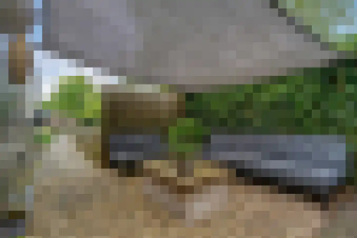 Dieptol 120 Steenwijk thumbnail 46