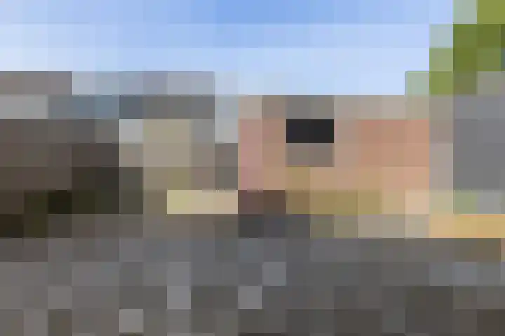 Dieptol 154 Steenwijk thumbnail 5