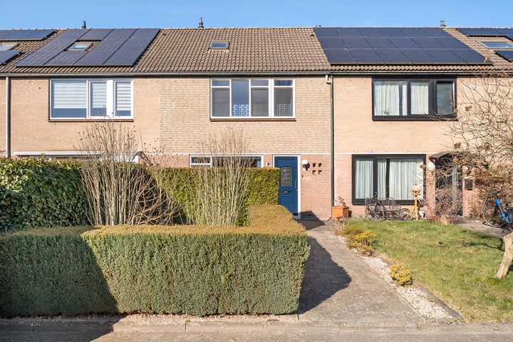 Dieptol 38 in Steenwijk foto