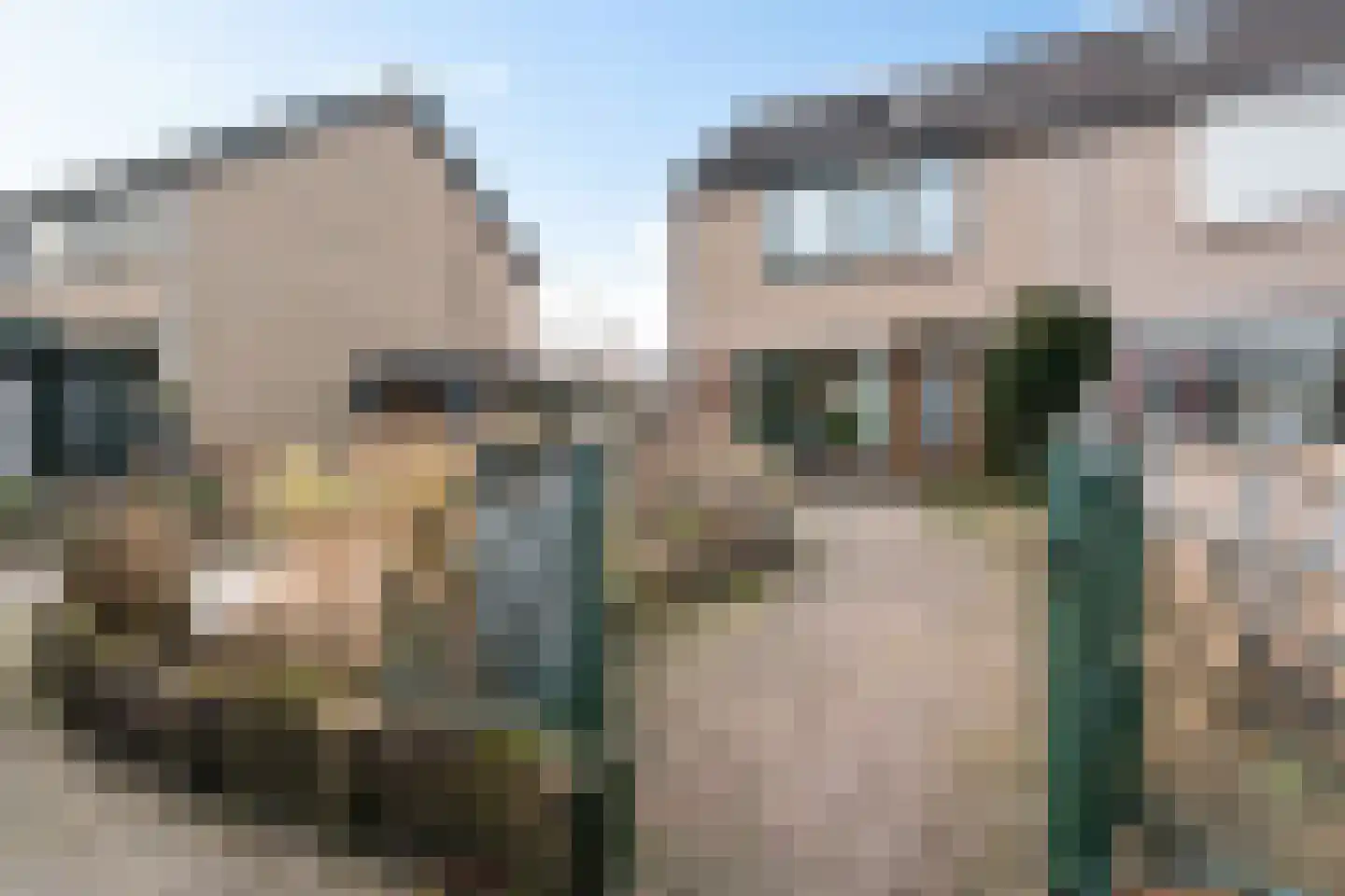 Dieptol 46 Steenwijk thumbnail 32