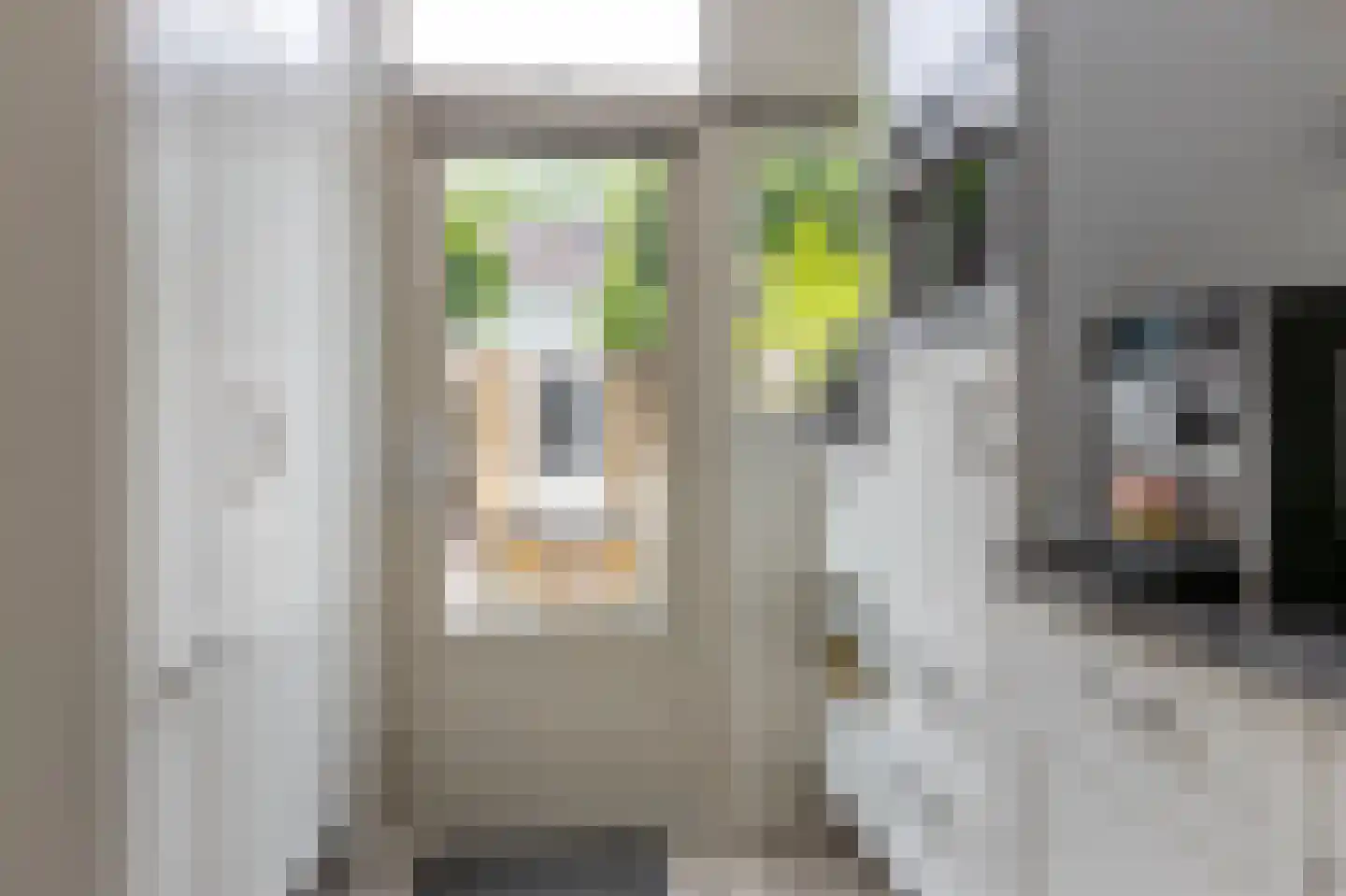 Dieptol 88 Steenwijk thumbnail 16